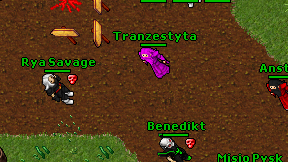 Tranzestyta on screen
