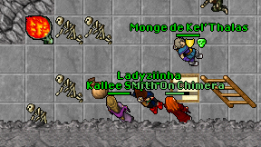 Ladyziinha on screen