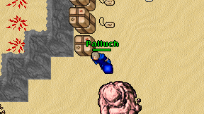Palluch on screen