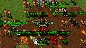 Elch on screen