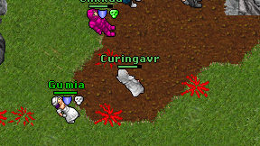 Curingavr on screen