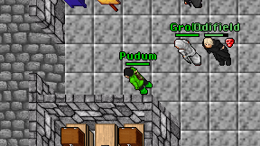 Pudum on screen