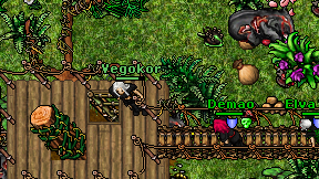 Vegokor on screen