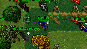 Vaelor on screen