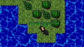 Druid Matonera on screen