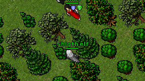 Nhigth elf on screen