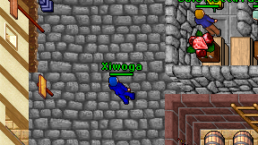 Xiwoga on screen