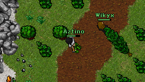 Aztino on screen