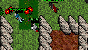 Nedes on screen