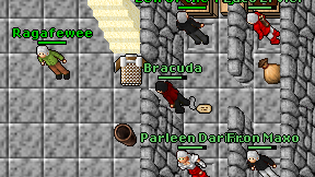 Bracuda on screen