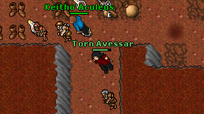 Torn Avessar on screen
