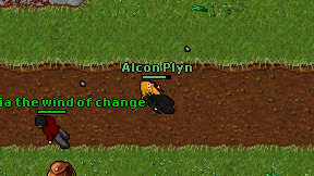 Alcon Plyn on screen