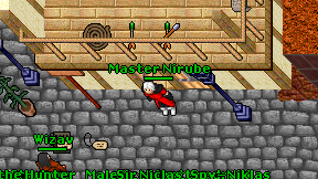Master Nirube on screen