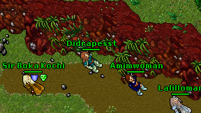 Didrapesst on screen