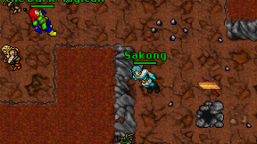 Sakong on screen