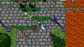 Fena Eowm on screen
