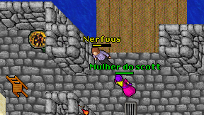 Nerfous on screen