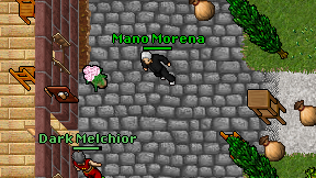 Mano Morena on screen