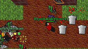 Druid makeicous on screen