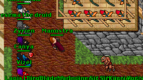 Manostra on screen