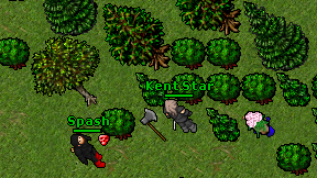 Kent Star on screen