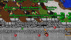 Hostelero on screen