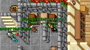 Xelion Knight on screen
