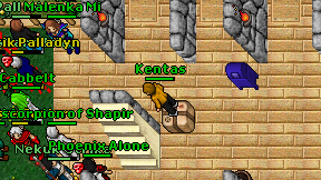 Kentas on screen