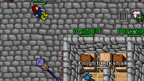Druid Elf on screen