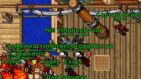 Holius Druid on screen