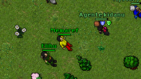 Memaref on screen