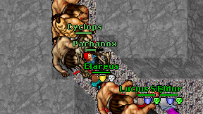 Pachanox on screen
