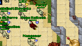 Mage Halkoon on screen