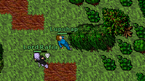 Lupuhap on screen