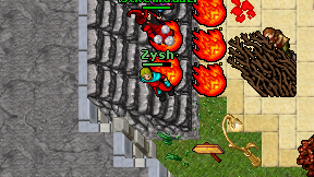 Zysh on screen