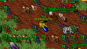 Haboloto on screen