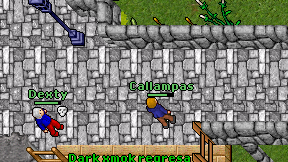 Callampas on screen