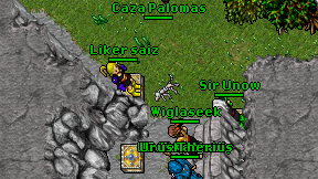Caza Palomas on screen