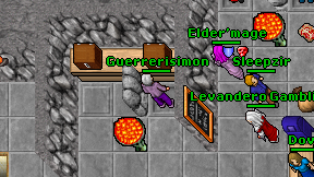 Guerrerisimon on screen