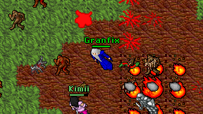 Granfix on screen