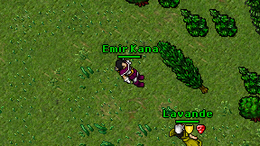 Emir Kana on screen
