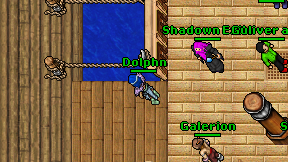 Dolphn on screen