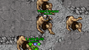 Marcinaxx on screen