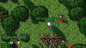 Druid Rehehelly on screen