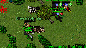 Elee saphran on screen