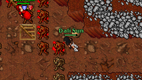 Dali Sun on screen