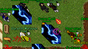 Burn Kali on screen