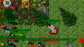 Kamilboss on screen