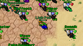 Ligh Poll on screen
