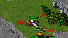 Majkz on screen